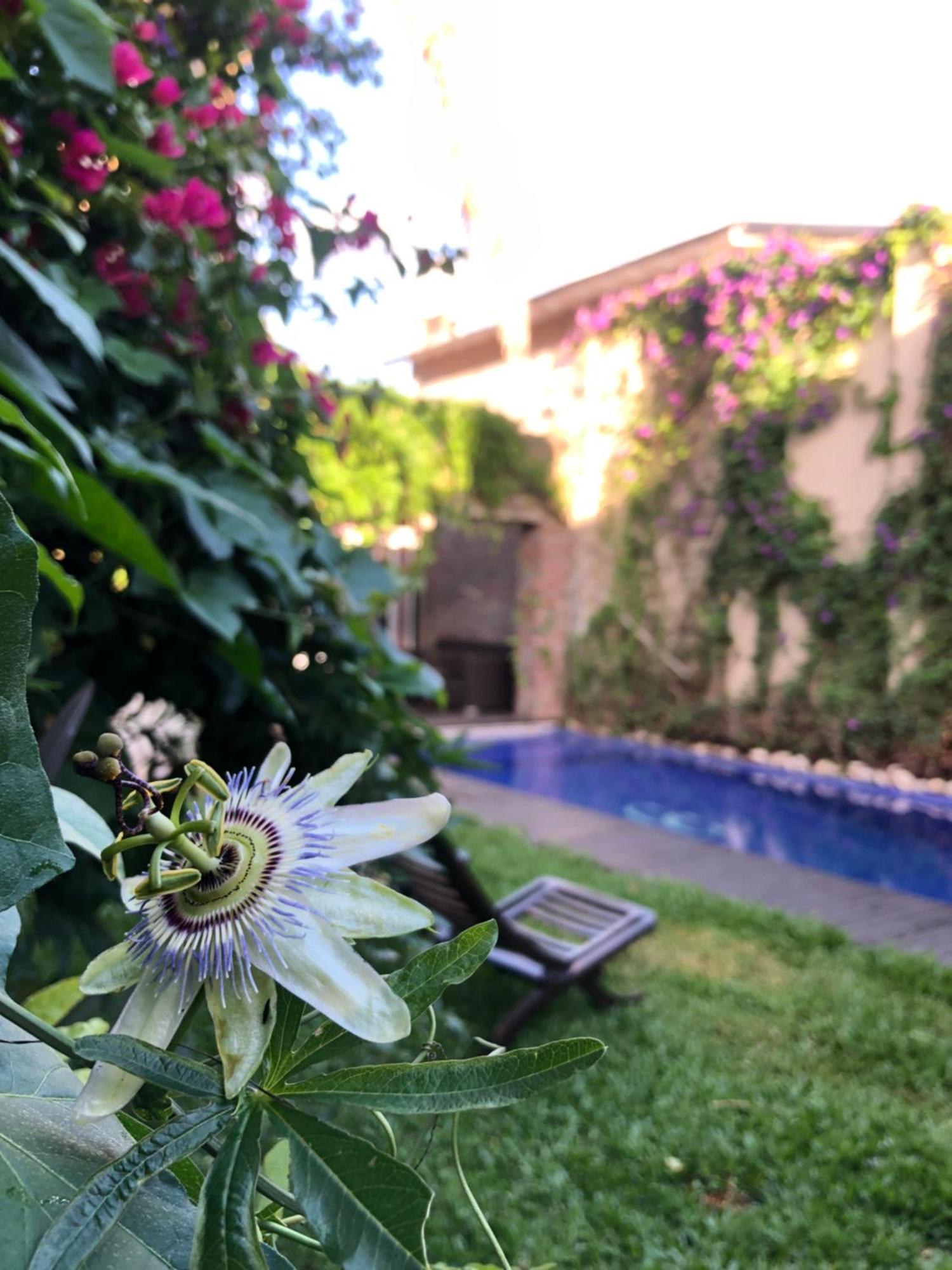 Cool Clima Bed and Breakfast Olivos Buitenkant foto