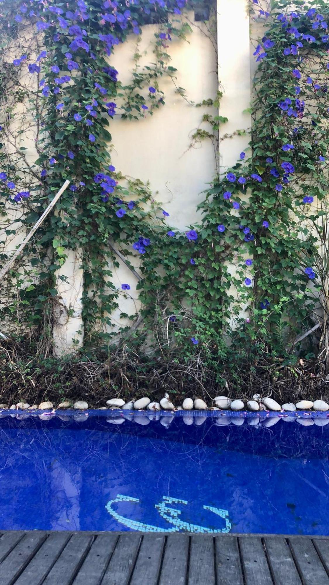 Cool Clima Bed and Breakfast Olivos Buitenkant foto