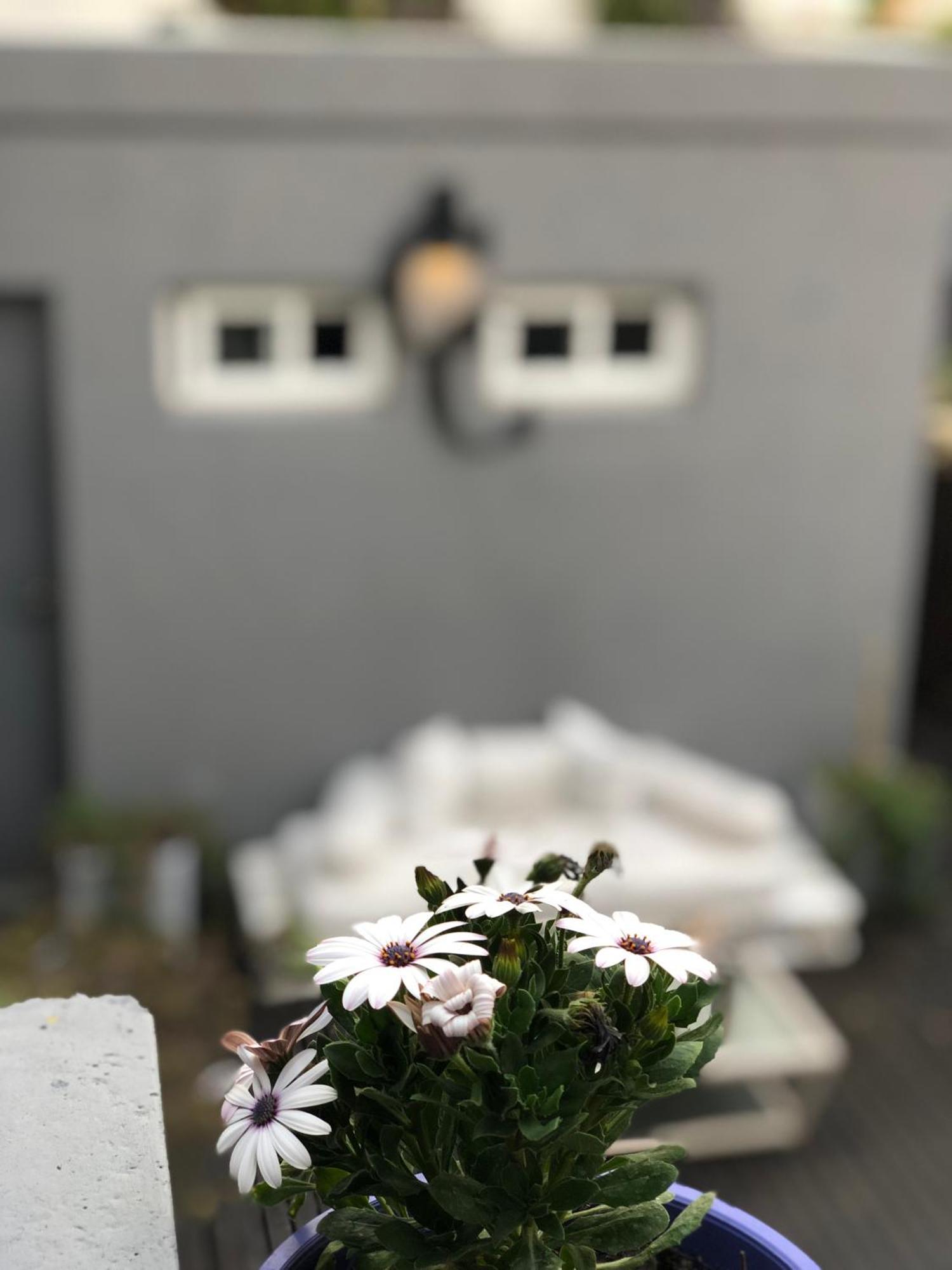Cool Clima Bed and Breakfast Olivos Buitenkant foto