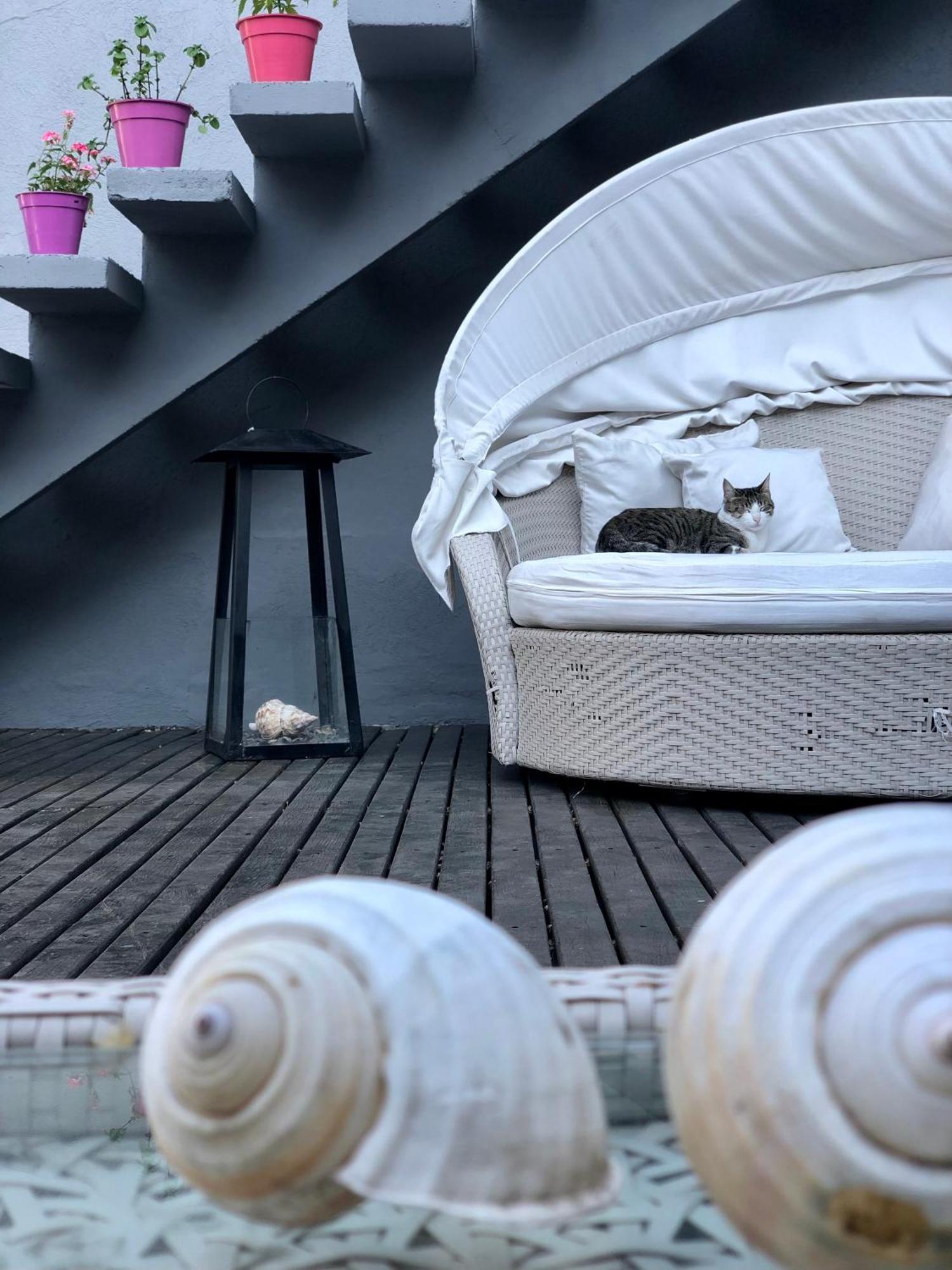 Cool Clima Bed and Breakfast Olivos Buitenkant foto